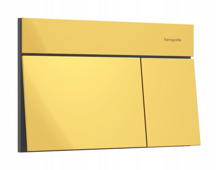 Clapetă de acționare WC HANSGROHE iFrame Element E